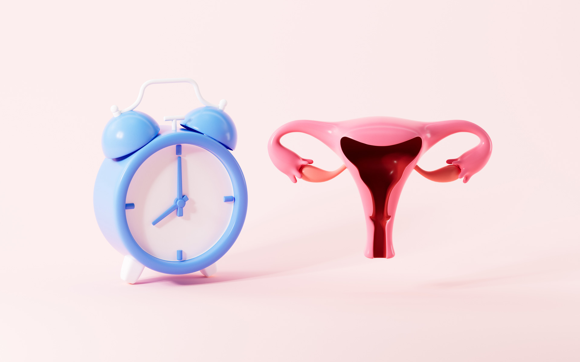Fisioterapia en la menopausa