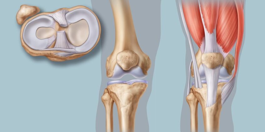 fisioterapia-i-salut-lesions-de-menisc